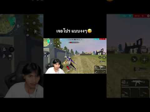โปรพีฟาย