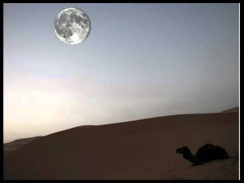 Siouxsie and the Banshees - Lunar Camel with lyrics
