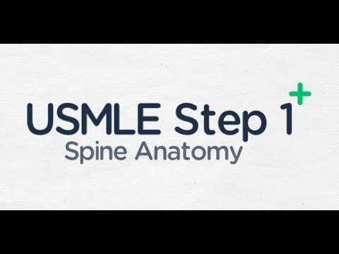 USMLE Step 1: Basic Anatomy of the Spinal Cord