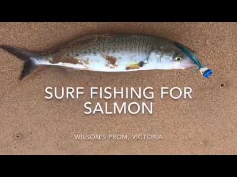 Surf Fishing For Salmon in Wilsons Prom Victoria
