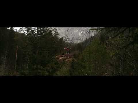 Shaman´s Trip 2 - Body´s of Resonance -The Full Movie