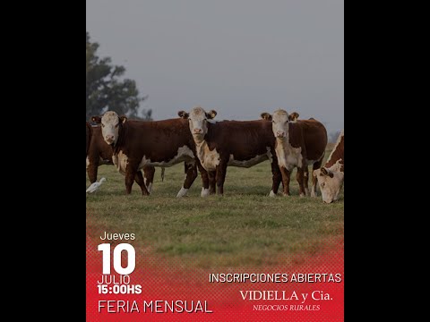 10/07/2025   Feria mensual - Vidiella y Cia /  Local 33 en la calera - Treinta y Tres