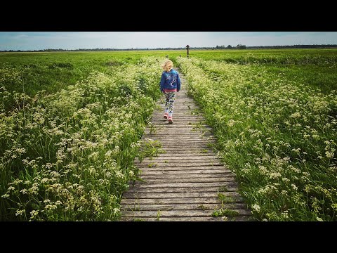 Deobson feat Marta Nosewicz - Garden Route (prod. Mario Kontrargument)