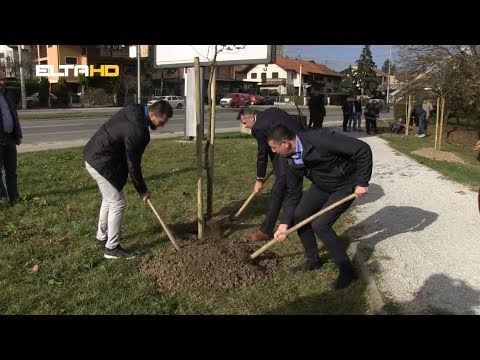 BL HRONIKA 20 11 18 - NOVE  SADNICE NA TRANZITU