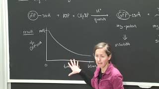 14. Protein Degradation 3