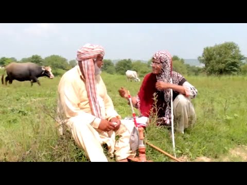 Dada Shero Dadi Bakhto Funny Drama - Mega Ep1 - Pothwari Super Comedy Drama - Pothwar Gold