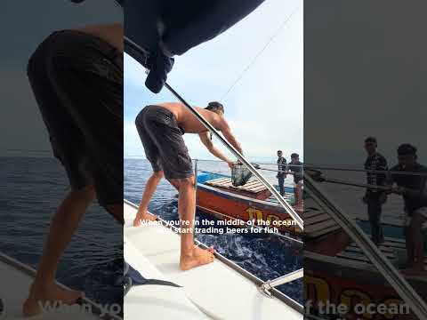 Trading beer for fish, would you do the same thing?  #trade #trading #beer #fish #boat ￼