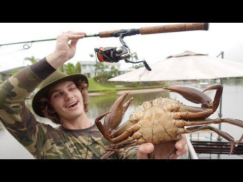 24 hour FISHING Challenge - Eating Only What I Catch! (Shark/Mudcrab/Bream/Eel)