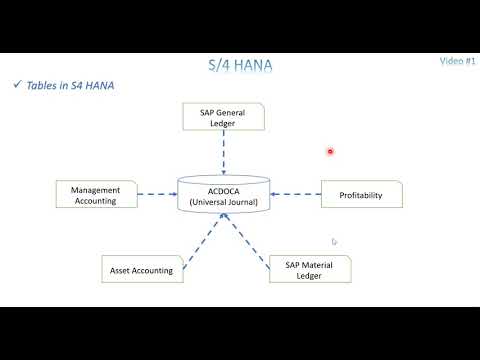 Video 1: S/4 HANA - Overview