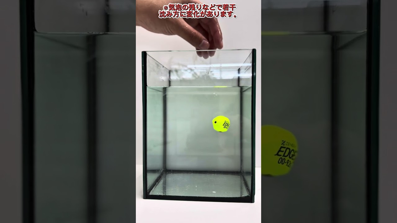 バランサー検証！【水平ウキ編】#shorts