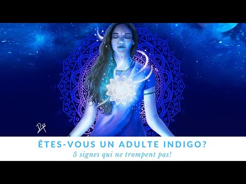 Êtes-vous un adulte Indigo ?