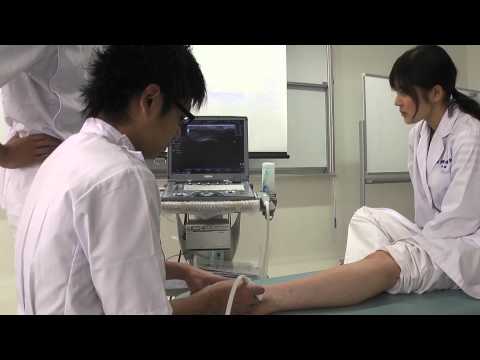 超音波(エコー)検査の実習風景 (東京有明医療大学 柔道整復学科) 2／2