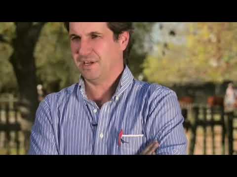 Rodrigo Fernández - Gte. Agrop. de Frigorífico Modelo y Director de Soc. Gan. San Salvador