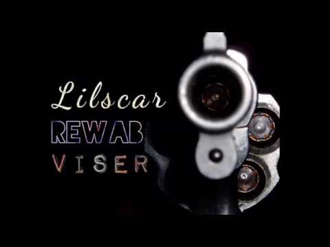 Lilscar REWAB - Viser