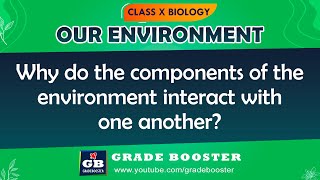 Our Environment | CBSE Class 10 Science (Biology) in hindi | Food chains & Food Web | NCERT #shorts