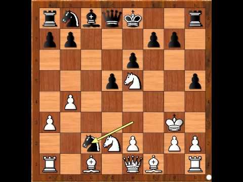 Budite uvek spremni vas protivnik ima plan za napad  -  HELBIG vs SCHRODER # 314