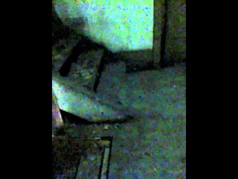 Exploring an abandoned building.