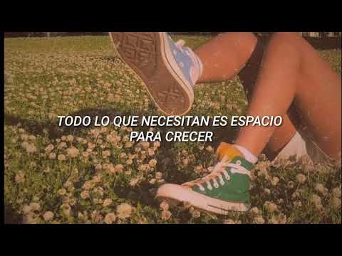 °zamir // flowers in my soul (sub. español)°