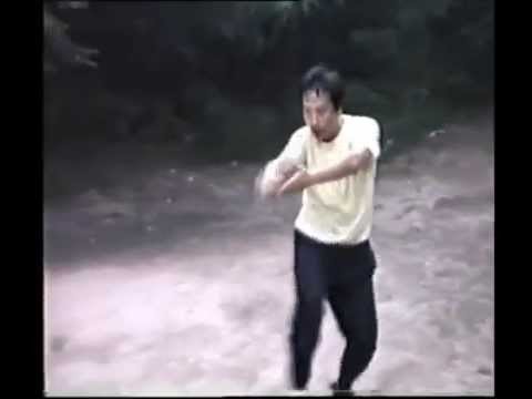 Damo Jian - Li Qiyu, Qingdao 1997