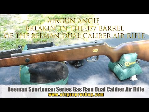 Breakin' In My Beeman Dual Springer  177 Barrel