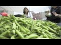 What is Sustainable Agriculture? | The New School ...