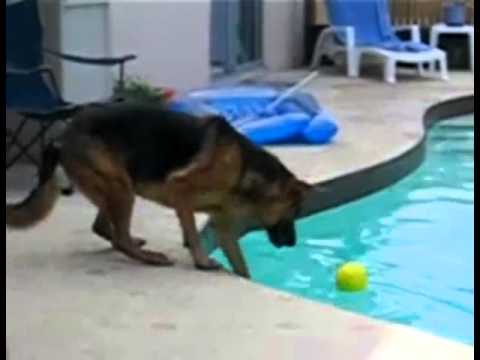 Das witigste video der. Weld