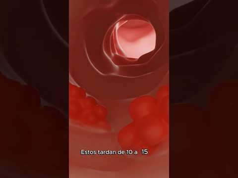 Alejandro Meneses Parga-82