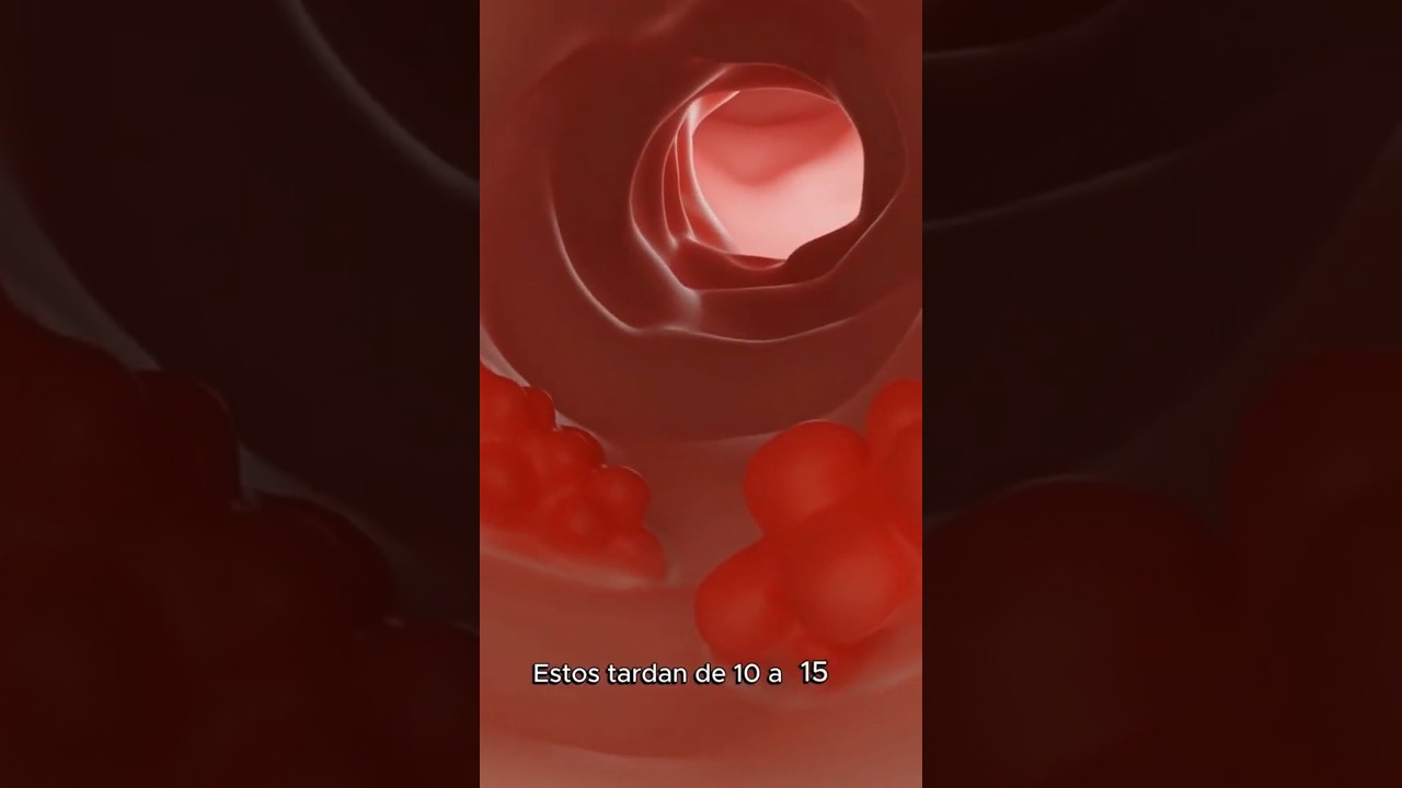 Alejandro Meneses Parga-82