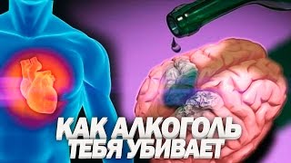ВЛИЯНИЕ АЛКОГОЛЯ НА ОРГАНИЗМ | Почему 90% Людей Уже Алкоголики - YouTube ВЛИЯНИЕ АЛКОГОЛЯ НА ОРГАНИЗМ | Почему 90% Людей Уже Алкоголики - YouTube