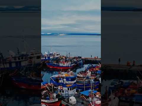 Cobraban $12 millones por pasajero: Velero francés ofrecía tours ilegales en Magallanes