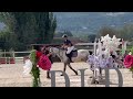 Poney de sport à vendre