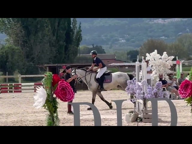 Poney de sport &agrave; vendre 