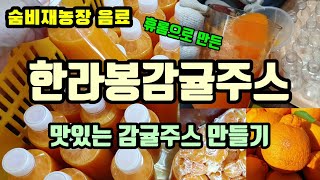 한라봉감귤주스 만들기 맛있는 수제 감귤주스 만드는방법 휴롬착즙기 숨비재