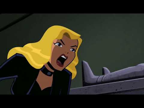 Sonic scream powers - Black Canary   Powers & Fight Scenes DCAU