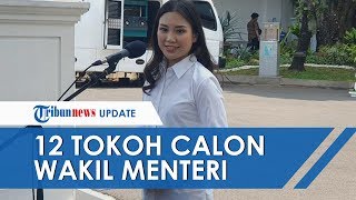 Deretan Tokoh yang Dipanggil Jokowi Jelang Pelantikan Wakil Menteri, Ada Sosok Angela Tanoesoedibjo