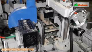 Máy Cắt 2 đầu, Khoan 2 chiều, Phay Bo R 2 đầu Woodmaster