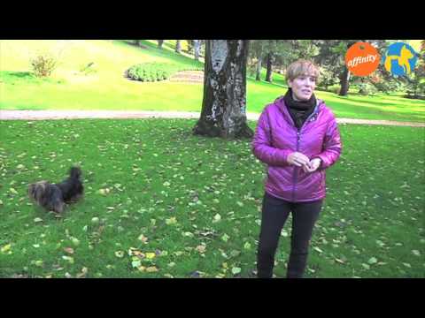 Conocemos a la mascota de... Anabel Alonso - Más que perros y gatos 8 | Fundación Affinity