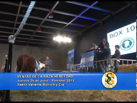 UNICO MEDIO PRESENTE EN LAS VENTAS DE LA RAZA P. HEREFORD - S.V.B. - Expo. Palermo 2013