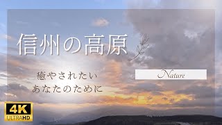 【高原・リラックス】信州の高原／高原を照らす朝日／森林セラピー／高原から見る夜景