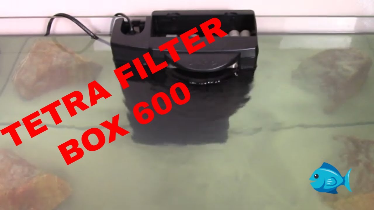 Tetra Filter Box 600 Review