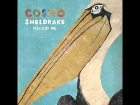 Cosmo Sheldrake - Tardigrade Song