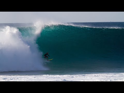 Dreaming of The Grower