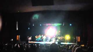 Ese es mi amigo el puma