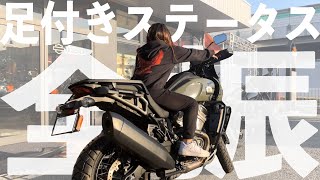 ハーレー【足つきステータス99にしたパンアメリカ】
