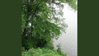 Cover art for Endless Colorways