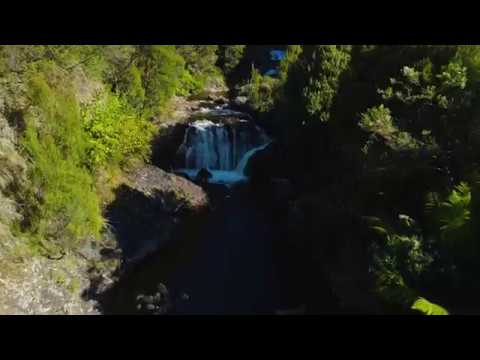 Waratah Falls