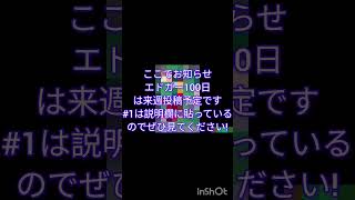 サイコーの死にゲー #1 #ゲーム実況 #ゲーム#ブロスタ