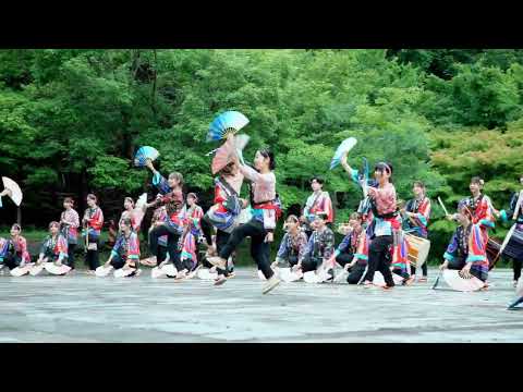 看護学科 20240728、宮城大学大和オープンキャンパス【娘すずめ】サークル演舞