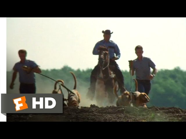 Movie CLIP - Prison Break