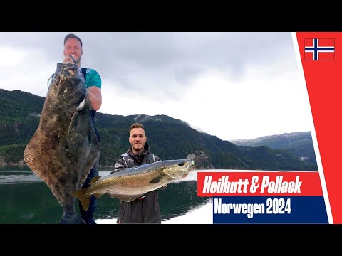 Angeln in Norwegen 2024 | Teil 1: Heilbutt & Pollack